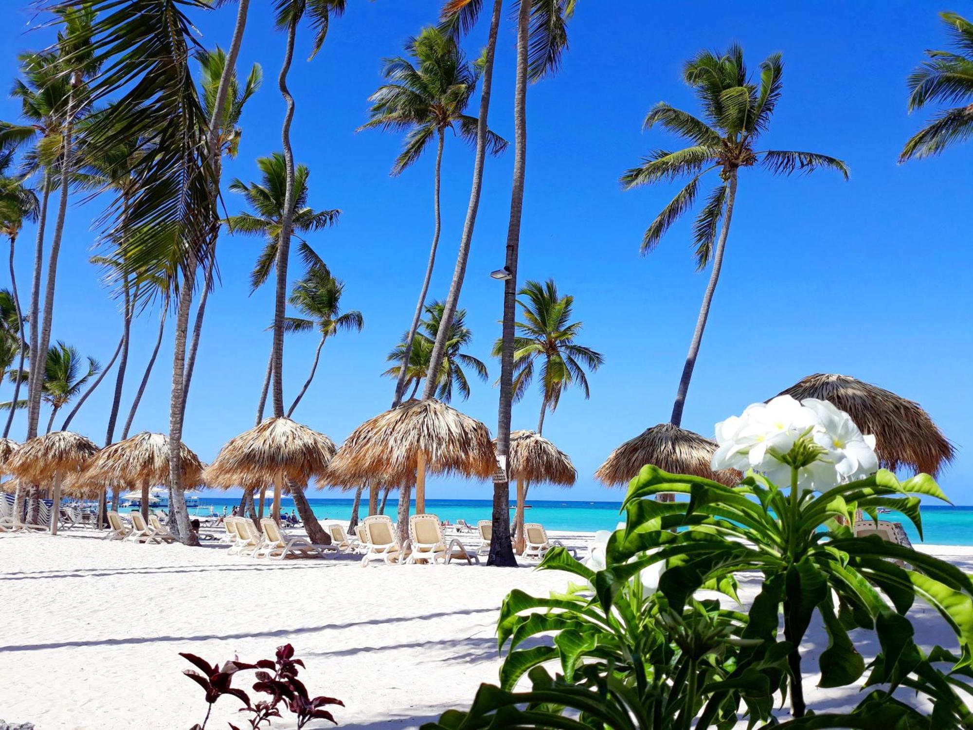 La Flor Del Caribe Beach & Spa 蓬塔卡纳 客房 照片